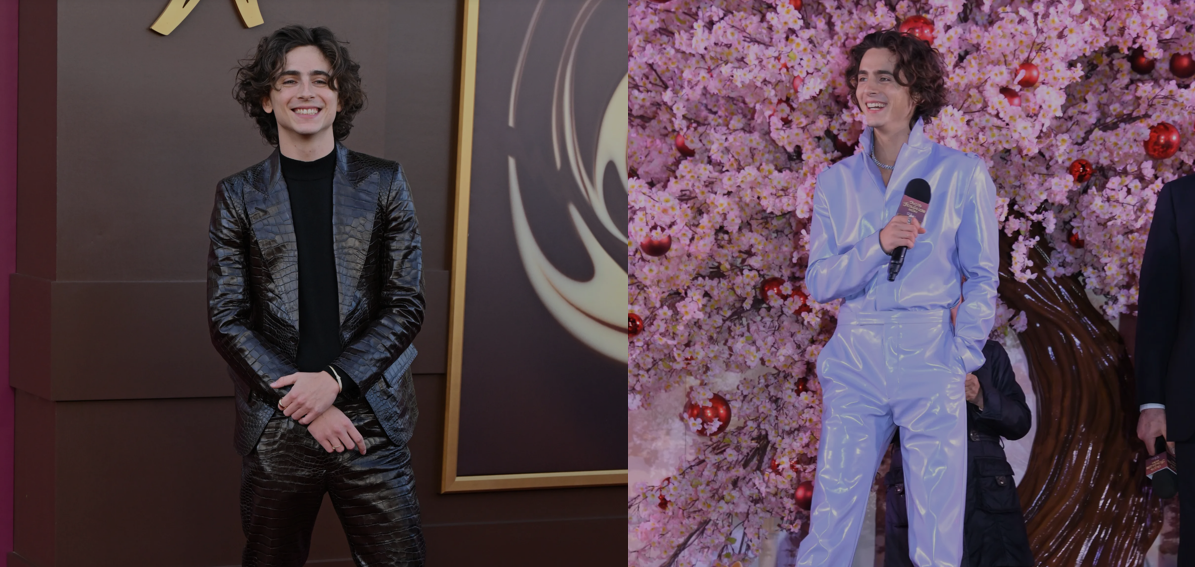 Hollywood superstar Timothée Chalamet sports different leather suits at film premieres across the world