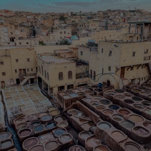 From bark to clay to pods, vegetable tanning offers a model of circularity the industry has yet to embrace.