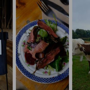 Noisy soil, healthy cows and gorgeous leather.