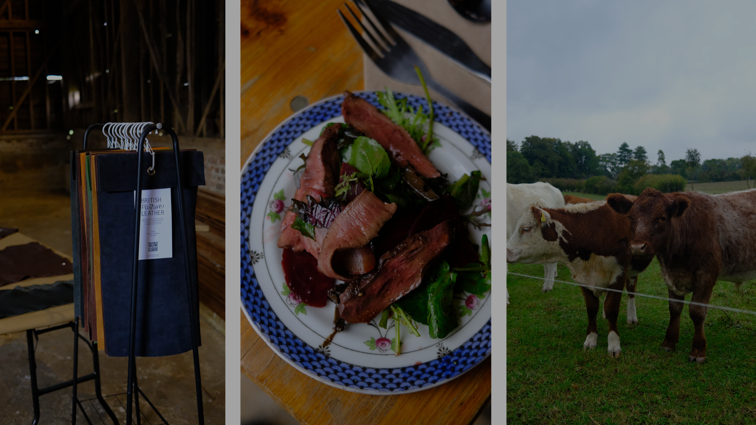 Noisy soil, healthy cows and gorgeous leather.