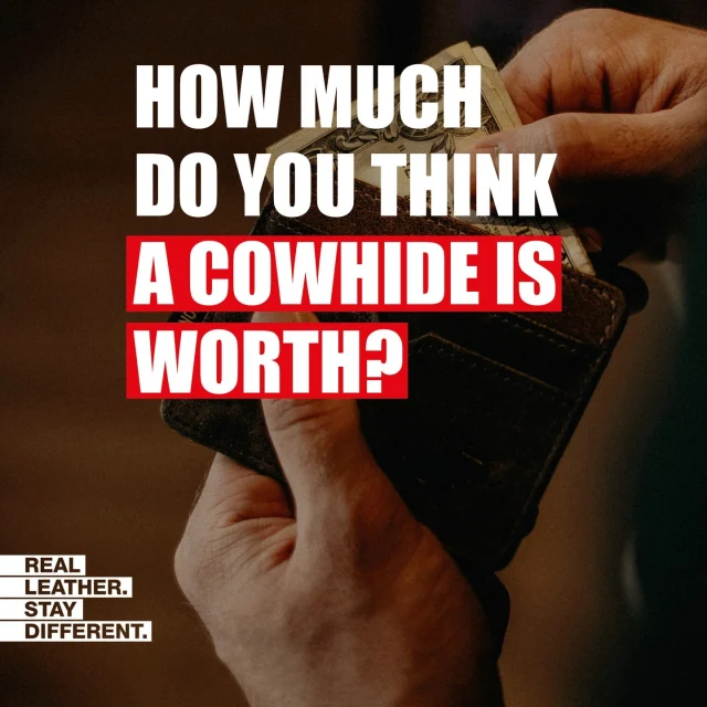 Did you know a full cowhide is typically around 50 square feet?⁠
⁠
How much do you think it would be worth? Comment your guess 👇