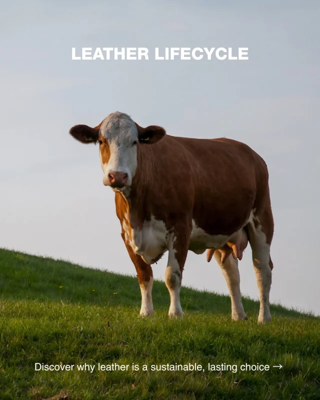 The Journey of Leather ♻️

Every leather hide begins as a byproduct of the meat industry - a natural material that would otherwise go to waste. Through responsible tanning and skilled craftsmanship, it’s transformed into the material we all know and value: real leather.

A natural material with a meaningful journey.
Choose Real Leather. Stay Different.

#RealLeatherStayDifferent #LeatherLifecycle #CircularDesign #SustainableFashion #SlowFashion #RLSD2026